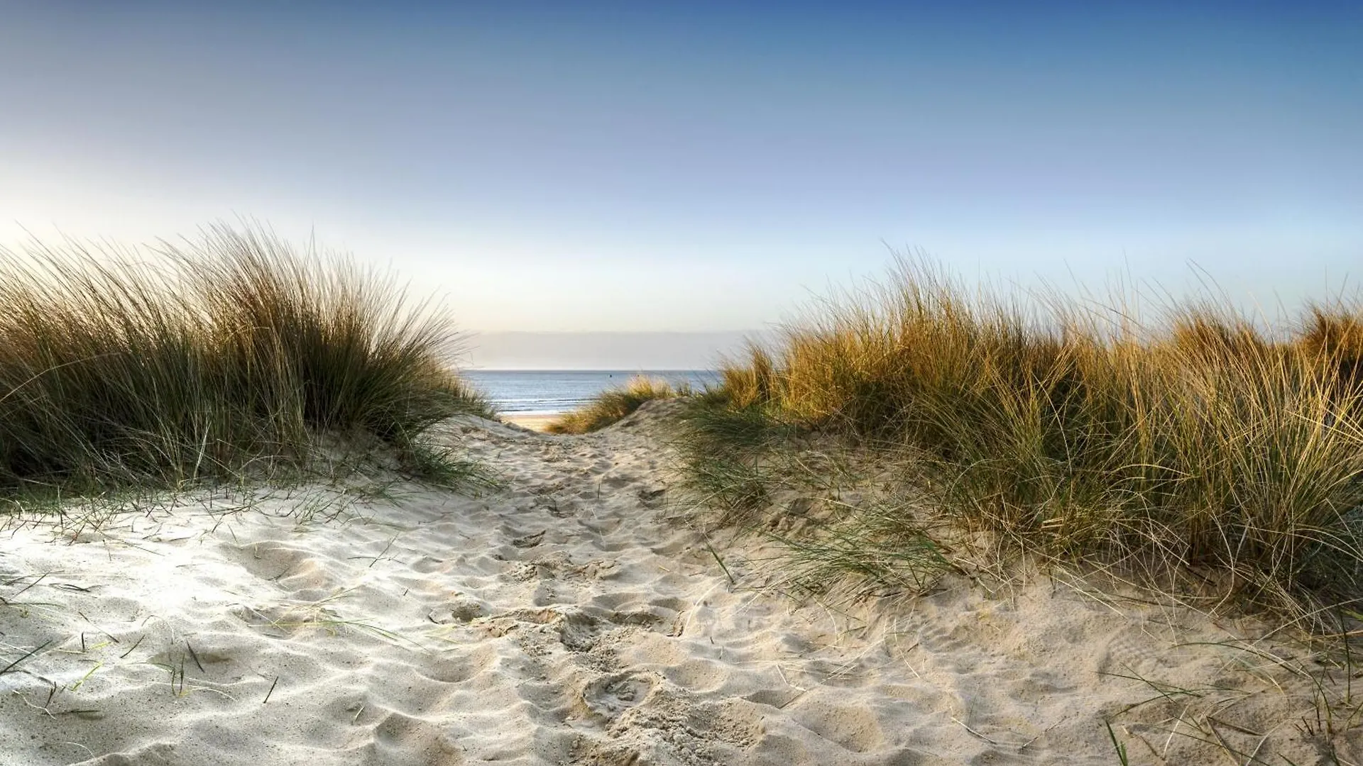 The Annex: Beachfront Luxury with Pet-Friendly Patio Bournemouth